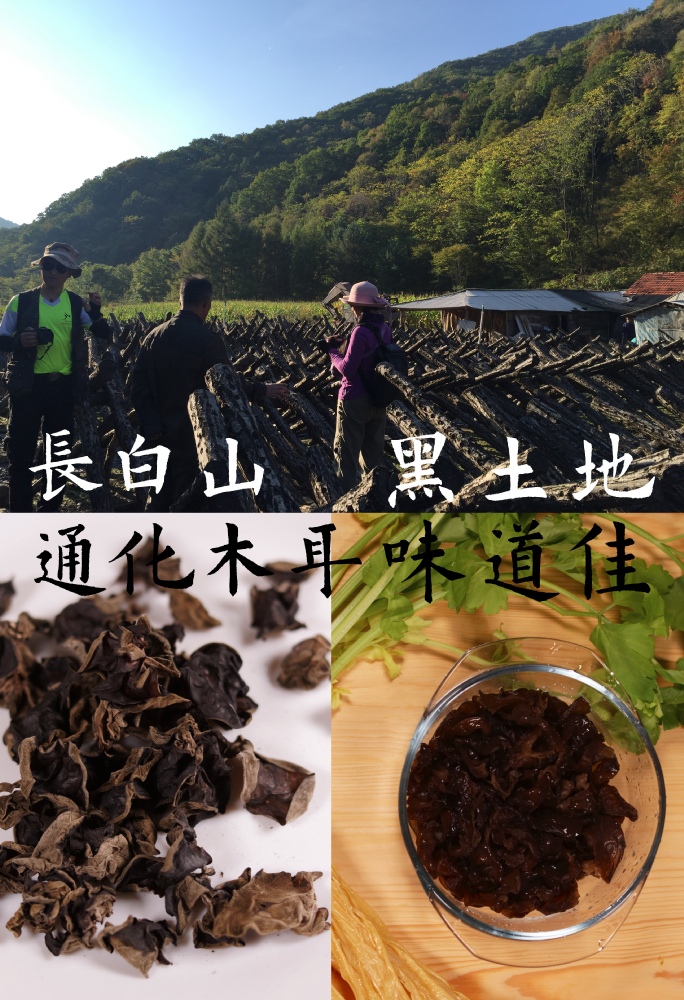 长白山黑土地(图)-1.jpg